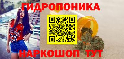 крисы Волгодонск