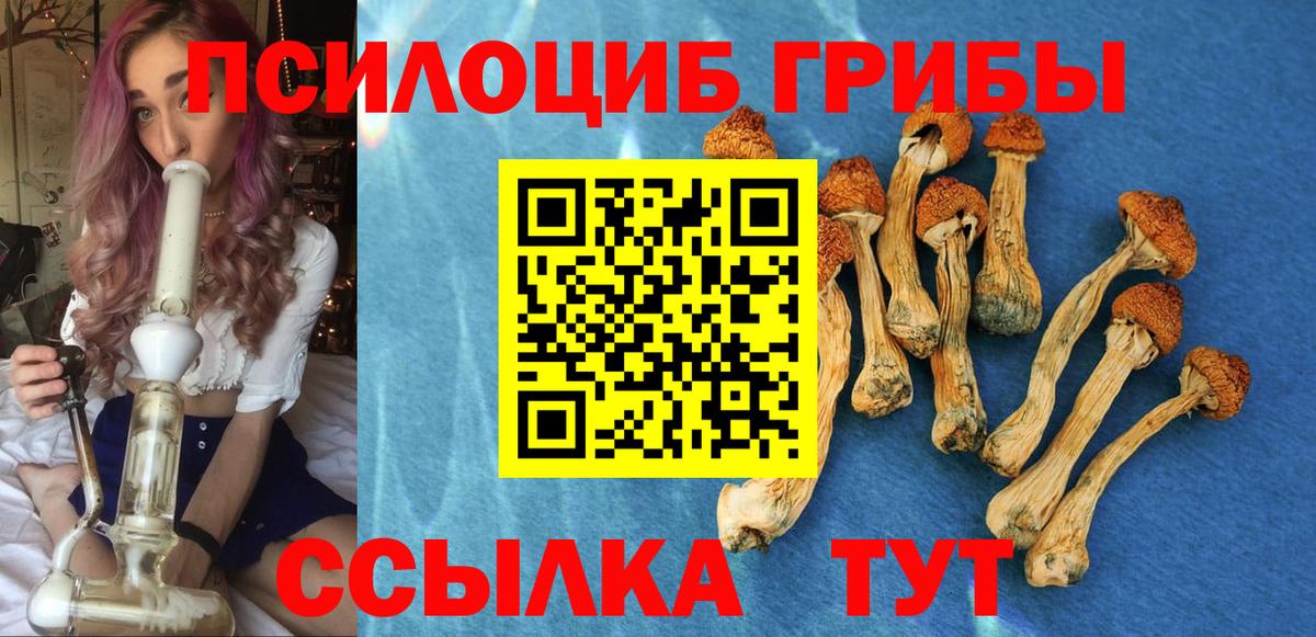 Галлюциногенные грибы Cubensis Знаменск