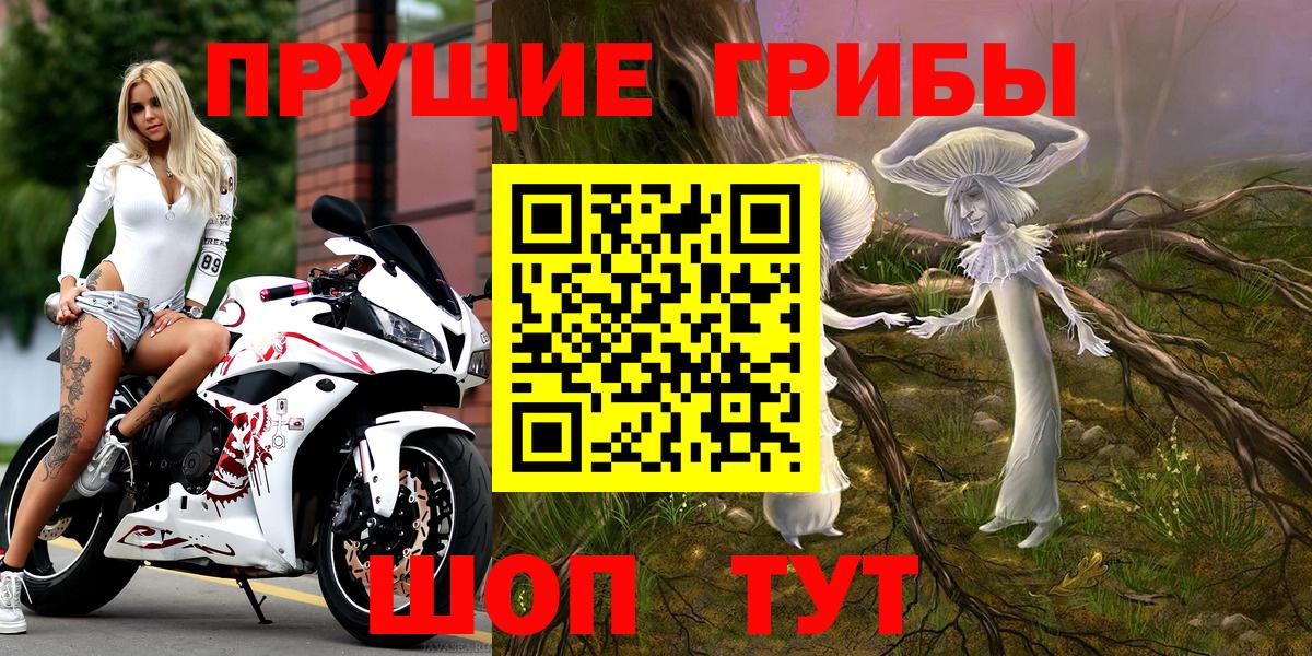 Знаменск  Псилоцибиновые грибы мицелий  Вход с VPN  Псилоцибиновые грибы прущие грибы 